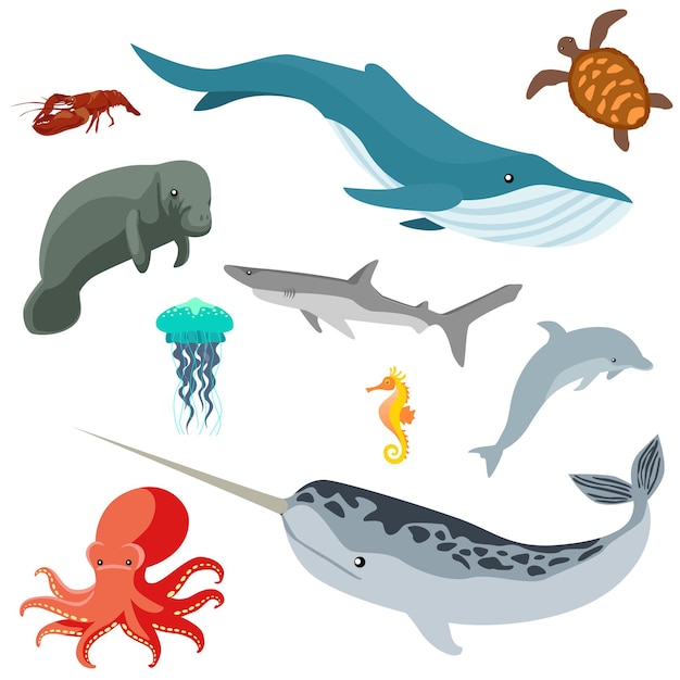 Vector sea creatures isolated on white background