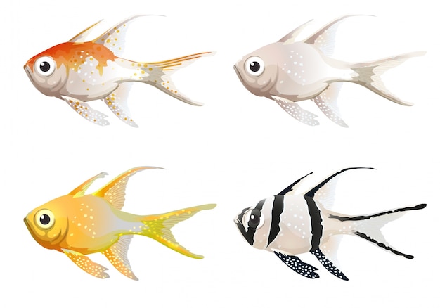 Vector sea creatures