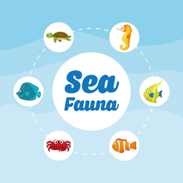 Vector sea fauna cartoon