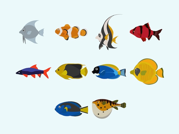 Sea fish illustration set