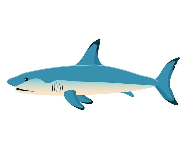 Sea fish, ocean shark. Zoological concept. Sea animals illustration, vector