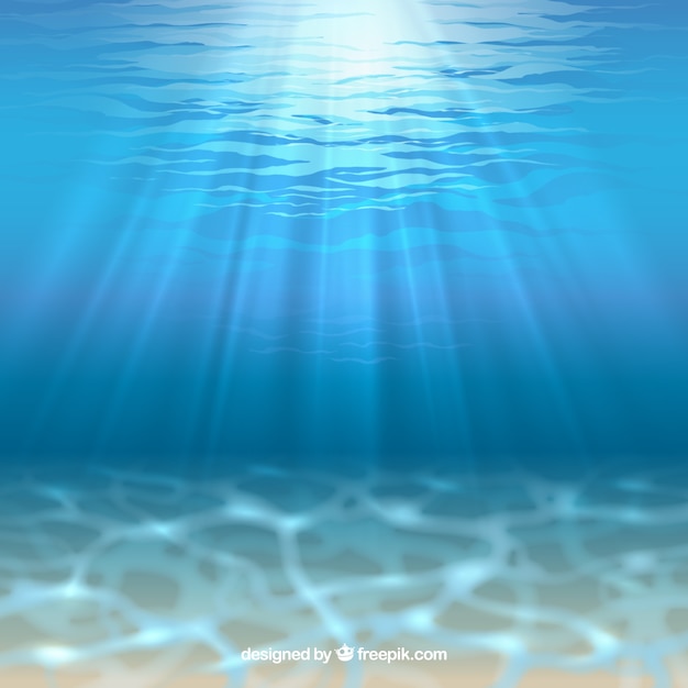 Vector sea floor with sunshine