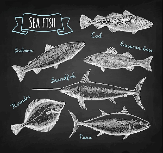 Sea food chalk set