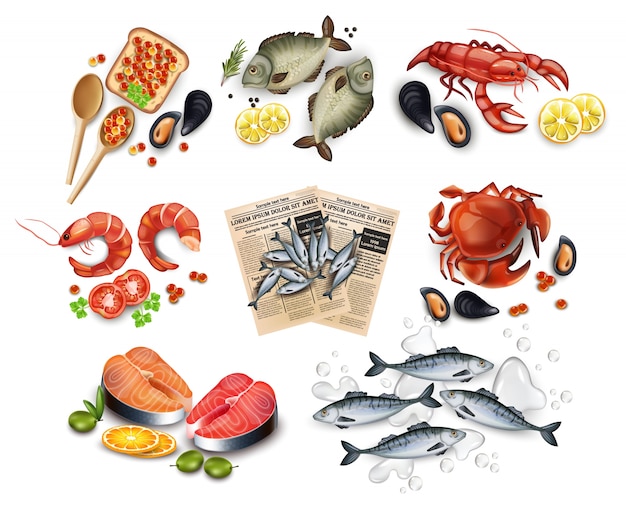 Vector sea food collection set