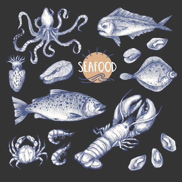 Sea food in the graphic vintage style isolated.