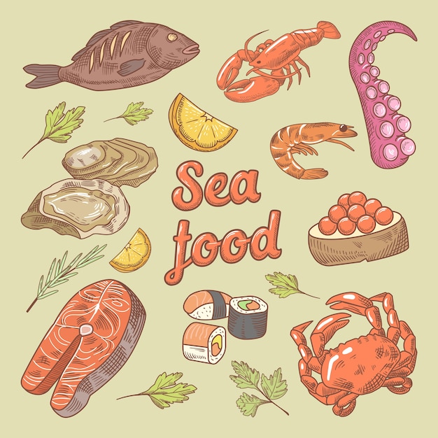 Sea Food Hand Drawn Doodle