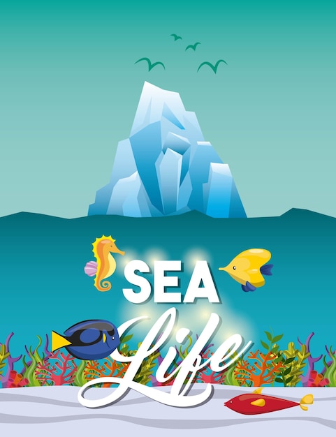 Sea horse fish and iceberg icon.