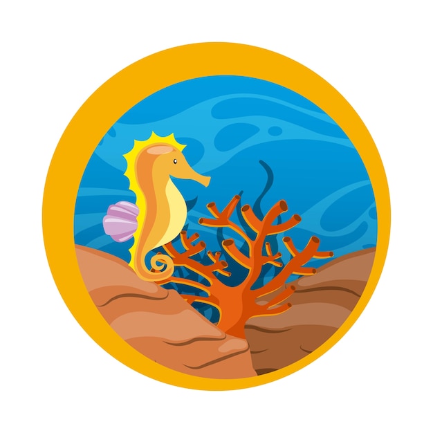 sea horse icon. Sea life design. Vector graphic