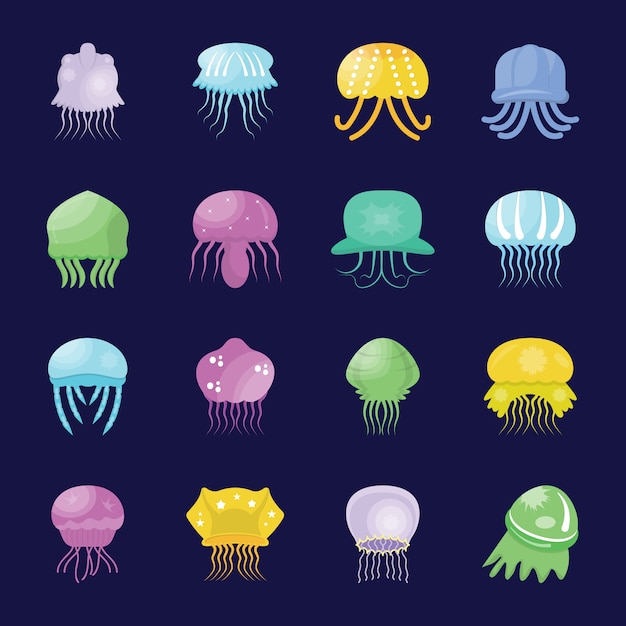 Vector sea jellies flat icons