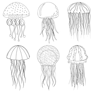 Premium Vector | Sea jellyfish, black outline, coloring, vector illustration