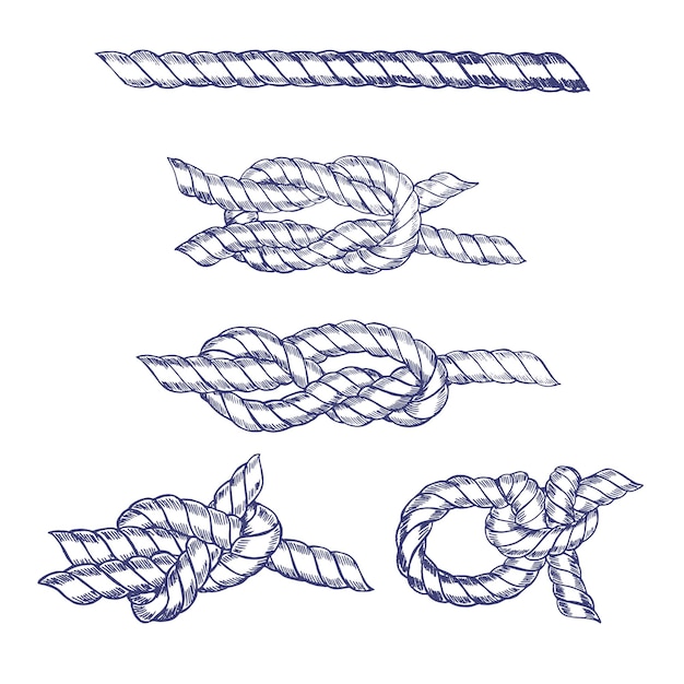 Vector sea knot blue twisted rope hand draw sketch