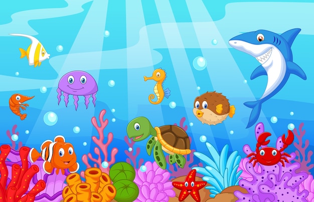 Sea life cartoon with fish collection set