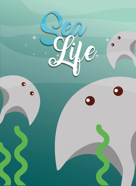 Sea life cartoon