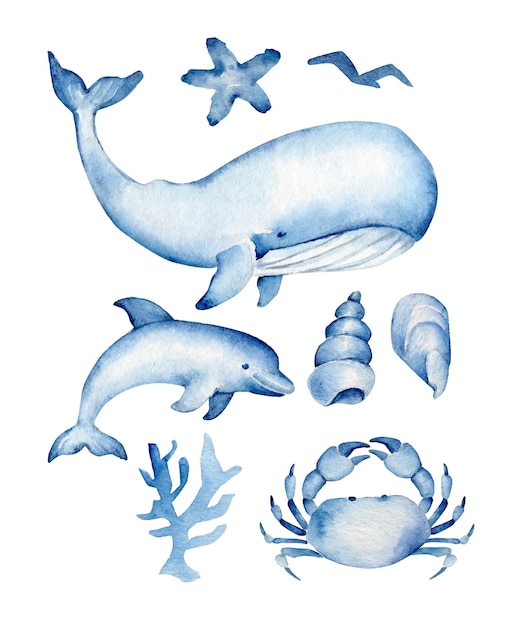 Vector sea life set