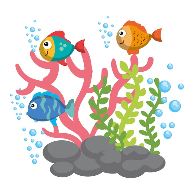 sea life