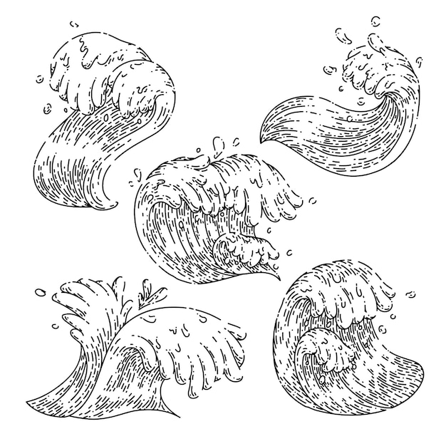 Vector sea ocean waves set sketch hand drawn vector