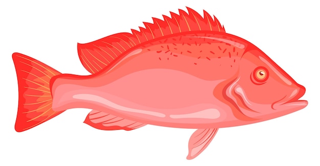 Sea perch icon red rock fish cartoon sebastus