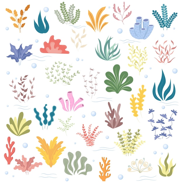 Sea plants and algae set Vector illustration
