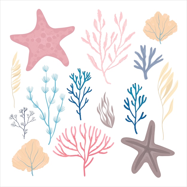 Sea plants and aquatic marine algae.