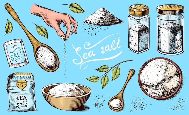 Sea salt set glass bottles packaging and and leaves wooden spoons powdered powder spice in the hand vintage background poster engraved hand drawn sketch