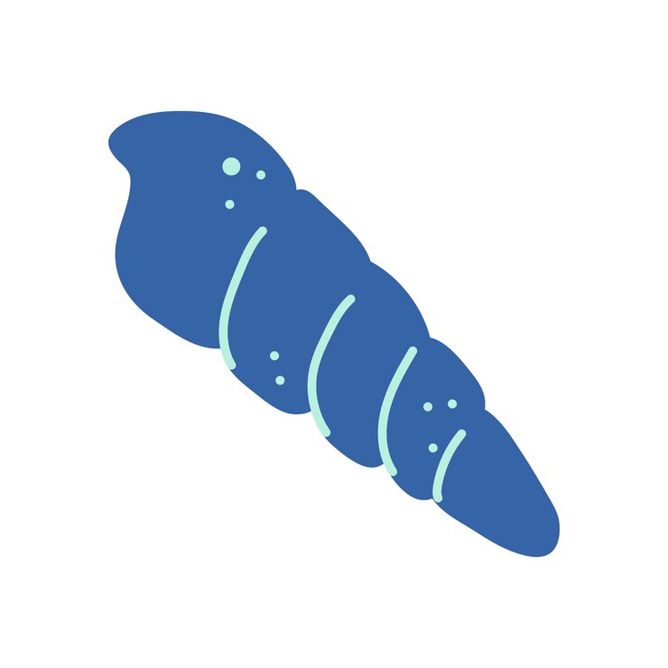 Vector sea shell beach icon vector illustration life in the ocean