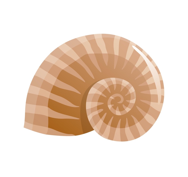 Vector sea shell. colorful tropical shell underwater icon. cartoon marine life. seashell summer symbol concept.