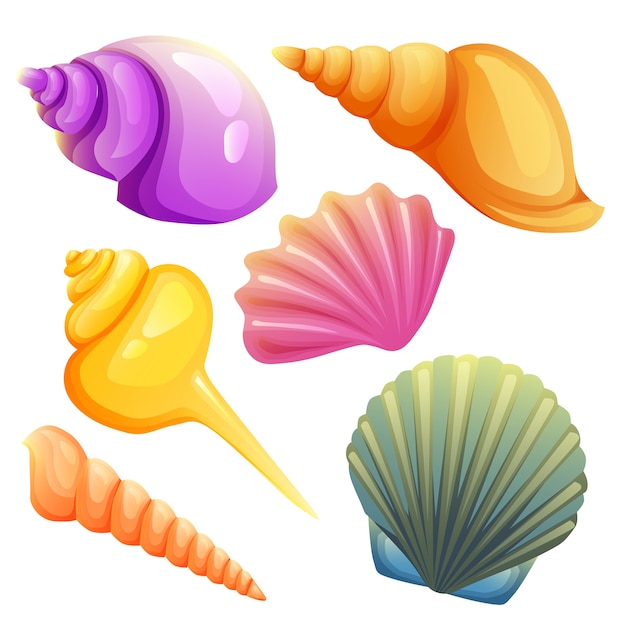 Set di elementi shell mare