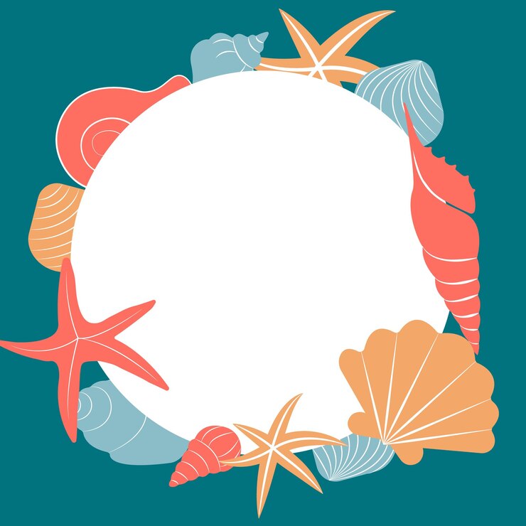 Vector sea shell frame vector for decoration summer season and marine