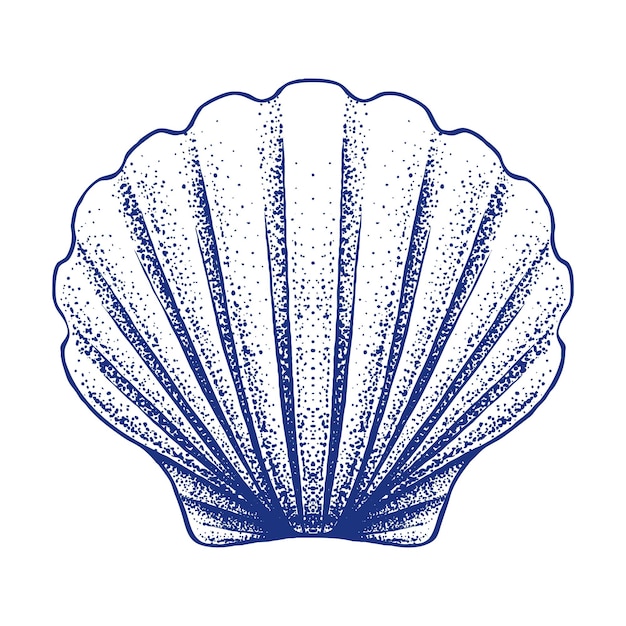 Sea Shell Hand Drawn Illustration