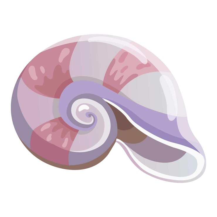 Vector sea shell icon cartoon illustration of sea shell vector icon for web