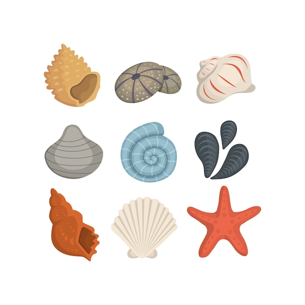 sea shell icons in cartoon style. set of clam mollusc. ocean cockleshell.
