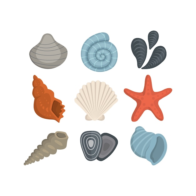 Vector sea shell  icons . set of clam mollusc. ocean cockleshell.