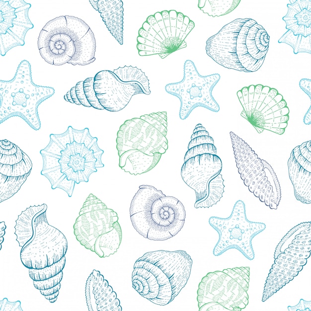 Sea Shell Pattern. Seashell seamless  background. Ocean beach illustration with sketch starfish, shells, tropic seashells. Summer marine vintage print. Hand drawn underwater life blue graphic