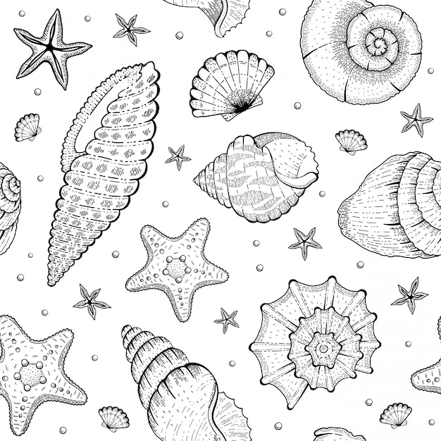 Sea Shell Pattern. Seashell seamless background. Ocean beach illustration with sketch starfish, shells, tropic seashells.