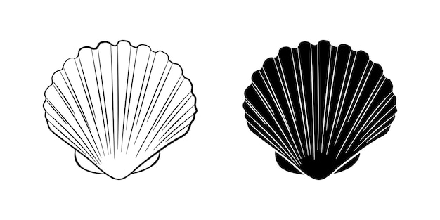 조개 가리비 벡터 일러스트 레이 션 설정 조개 개요 및 실루엣 아이콘