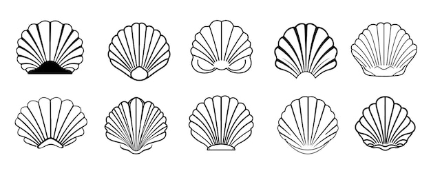 Vector sea shell set icons hand drawn sketch illustration