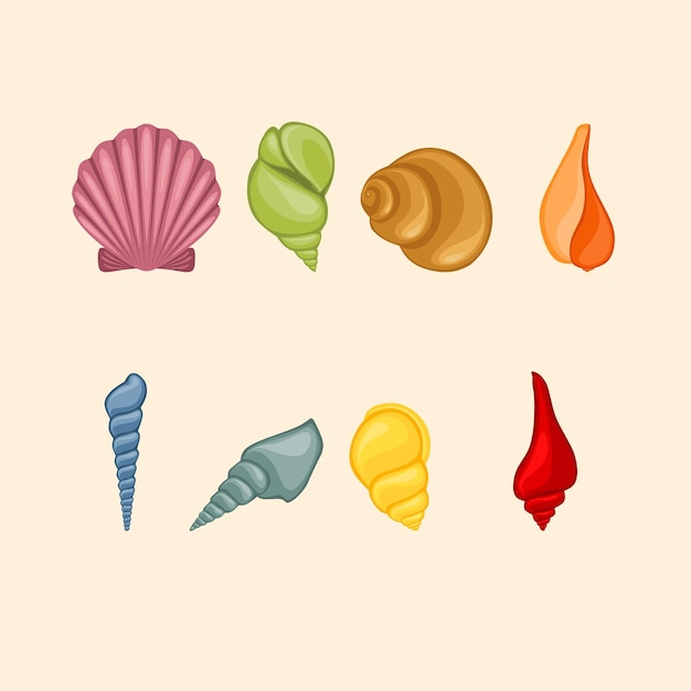 Vector sea shell shell collection vector illustration