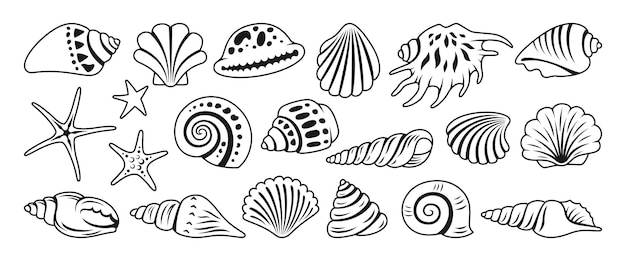 Sea shell sink doodle cartoon set oceano esotico subacqueo conchiglia mollusco acquatico simbolo marino