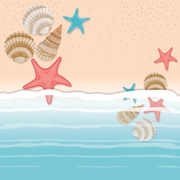 Vector sea shell and star in the sand design