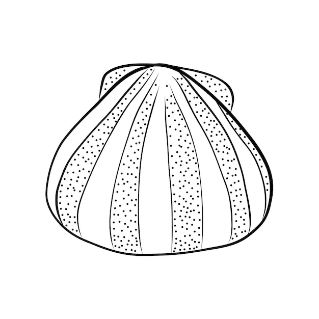 Sea Shell vectorillustratie in Doodle stijl