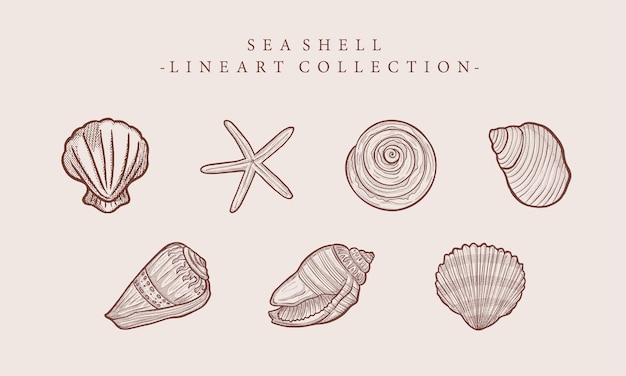 Sea shell vintage lijn kunstcollectie