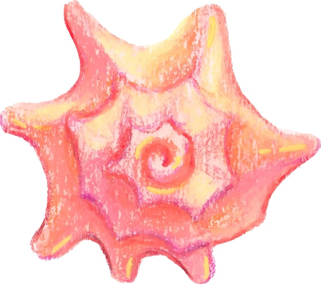 Vector sea shell watercolor png