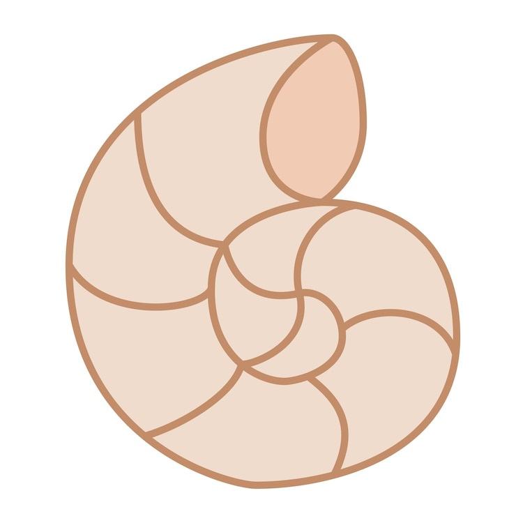 Vector sea shell