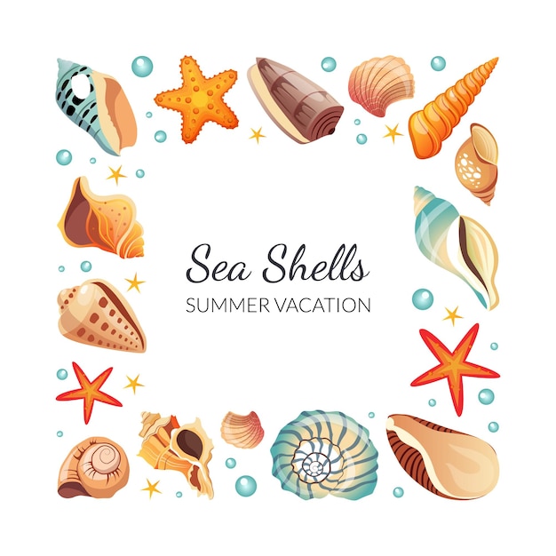 Vector sea shells square frame seashells border template with space for text summertime banner vector illustration
