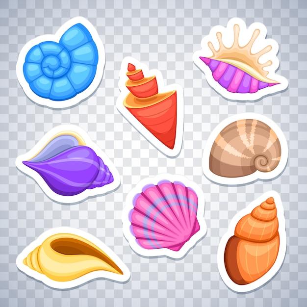 Vector sea shells stickers vector set. colored cockleshell sea, illustration of sticker sea shell