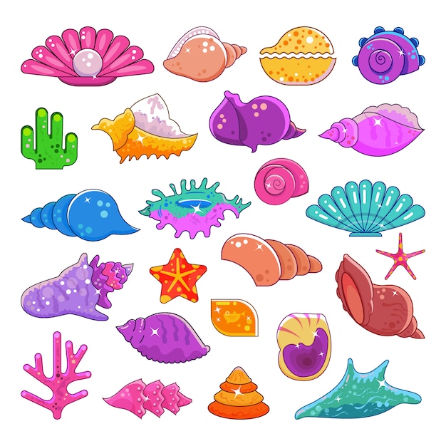 Vector sea shells vector exotic marine cartoon clam-shell and ocean starfish coralline isolated