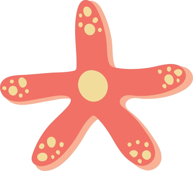 Sea Starfish Tropical Image