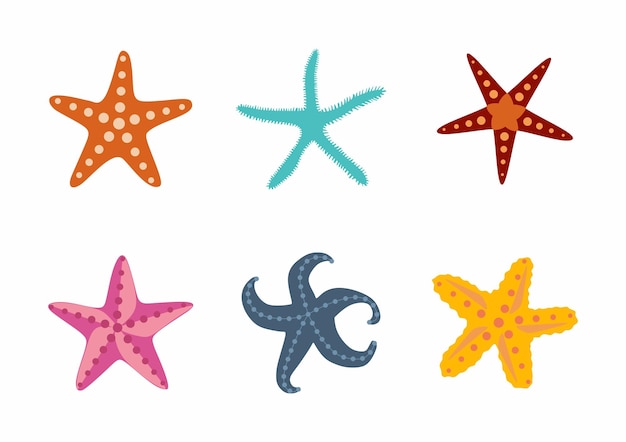 Sea stars set Multicolored starfish's on a white background