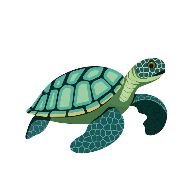 Vector sea turtle cartoon animal illustration