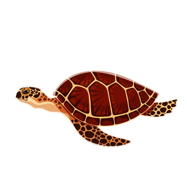 Vector sea turtle illustration